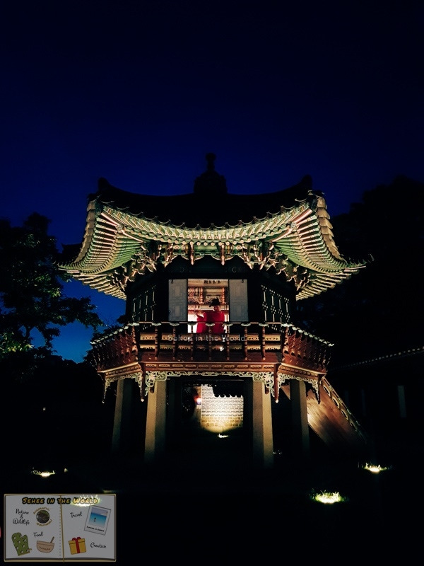 달빛 이미지