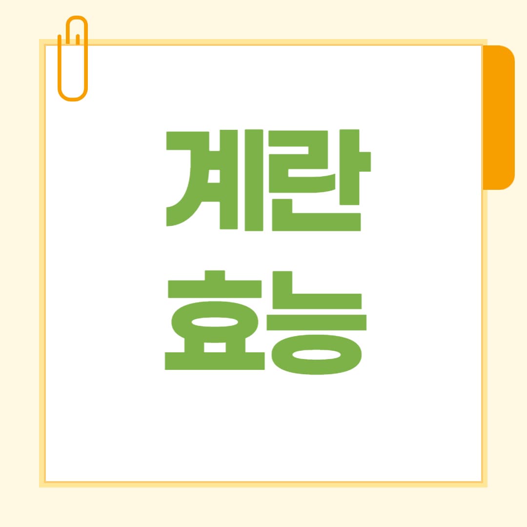 계란 효능 총정리 피로회복부터 면역력까지 챙기는 완전식품