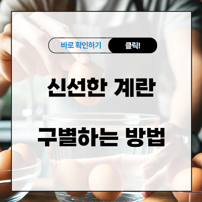 신선한 계란 구별하는 방법