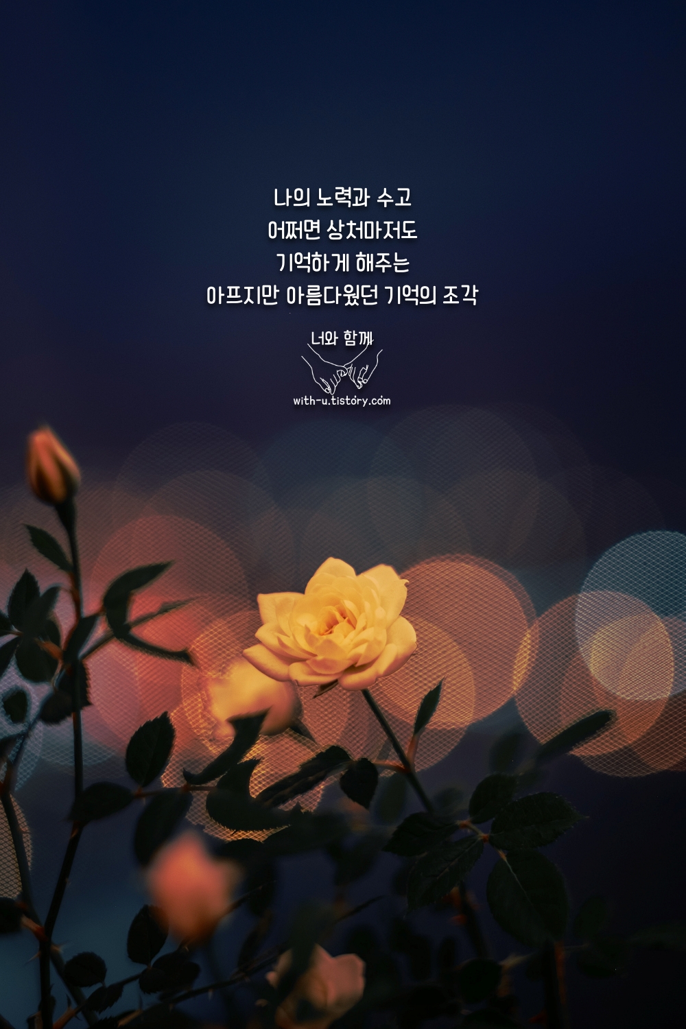  굳은살 명언 : 짧고 좋은 글귀 : 짧은 명언