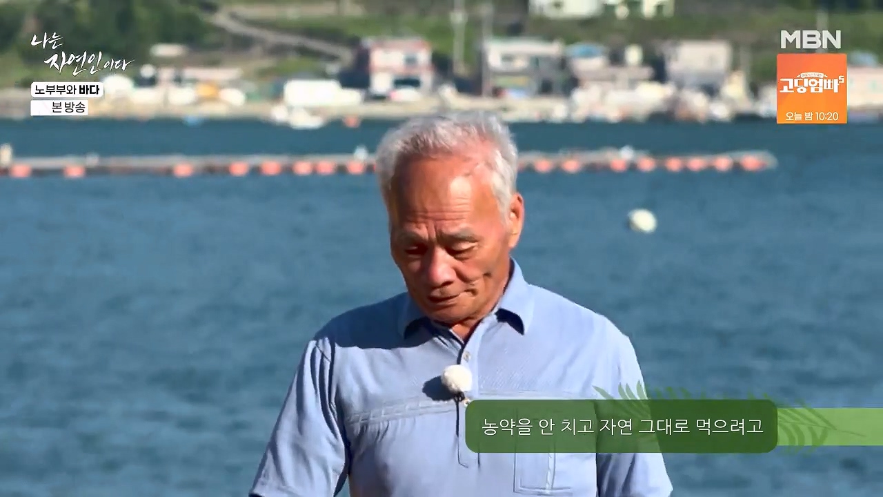 나는 자연인이다.E610.240620p-NEXT.mp4_20240620_193556.052.jpg