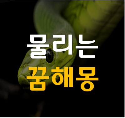 뱀에 물리는 꿈해몽 풀이 보기