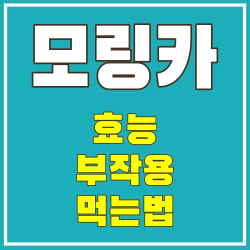 모링카의 효능