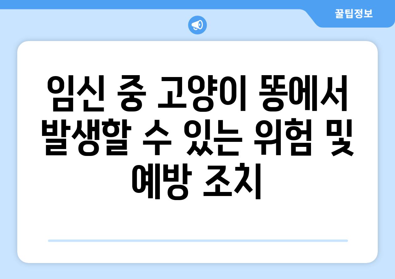 임신 중 고양이 똥에서 발생할 수 있는 위험 및 예방 조치