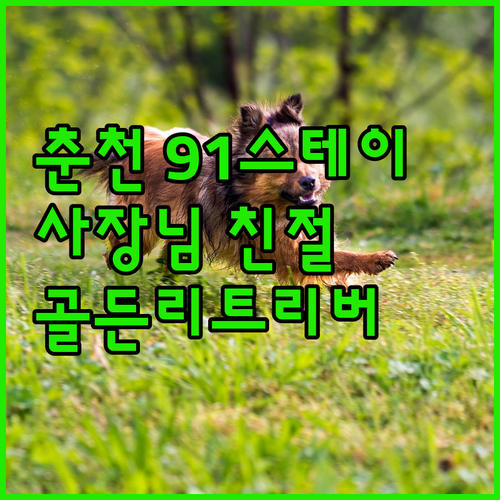 춘천 91스테이, 특별한 추억을 만들