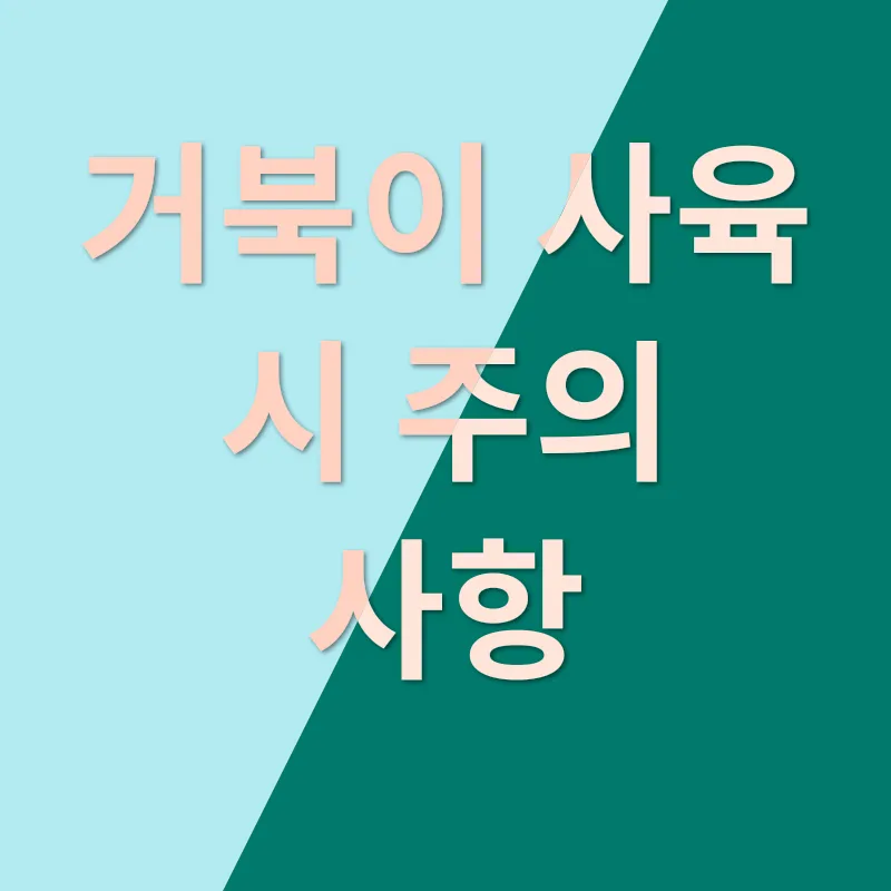 거북이 사육_3
