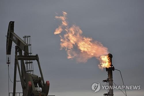 유가 이미지