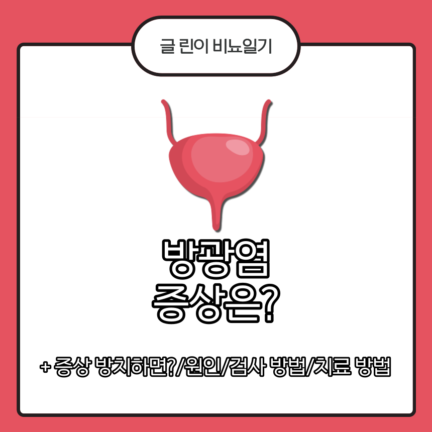  방광염 증상은?