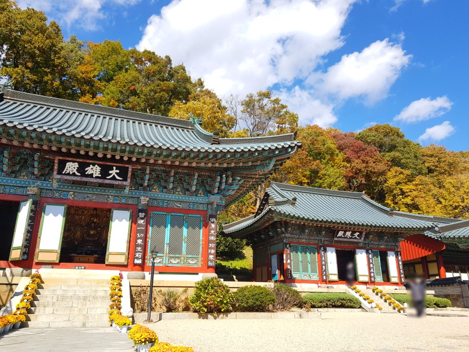 장소! 칠불사의 가을 풍경을 감상하세요:) 하동칠불사의 가을 멋진 자태를 품은 3