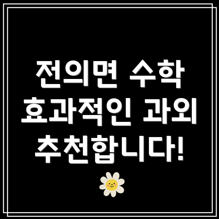 세종시 수학 과외