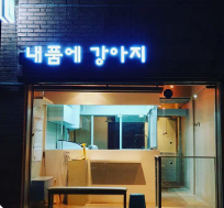 내품에 강아지