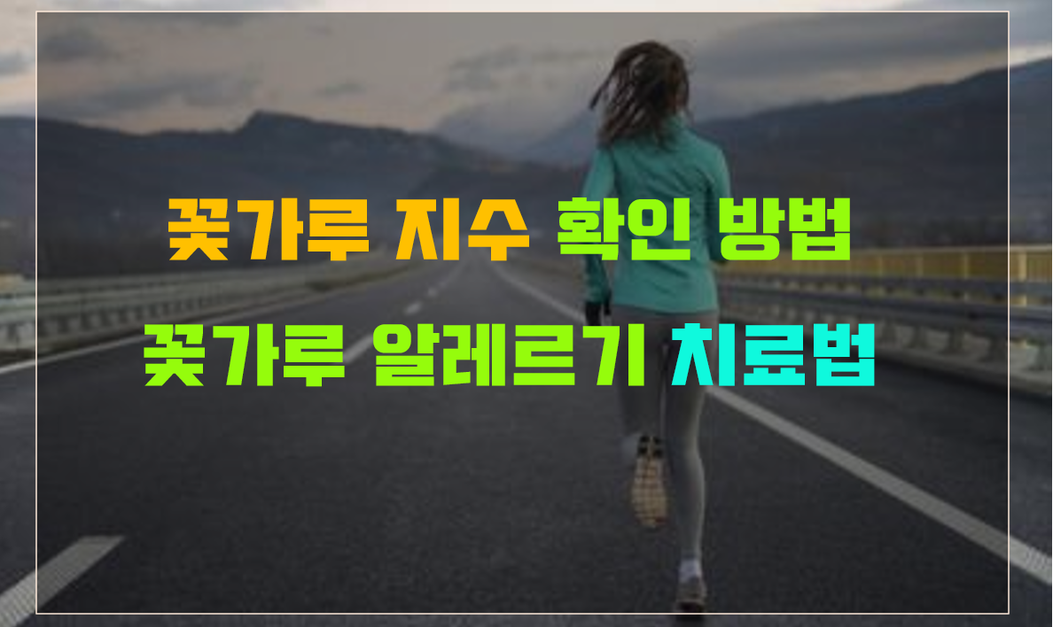  꽃가루 지수 꽃가루 알레르기 지수 및 증상 체크 (자가 치료 방법 공유)