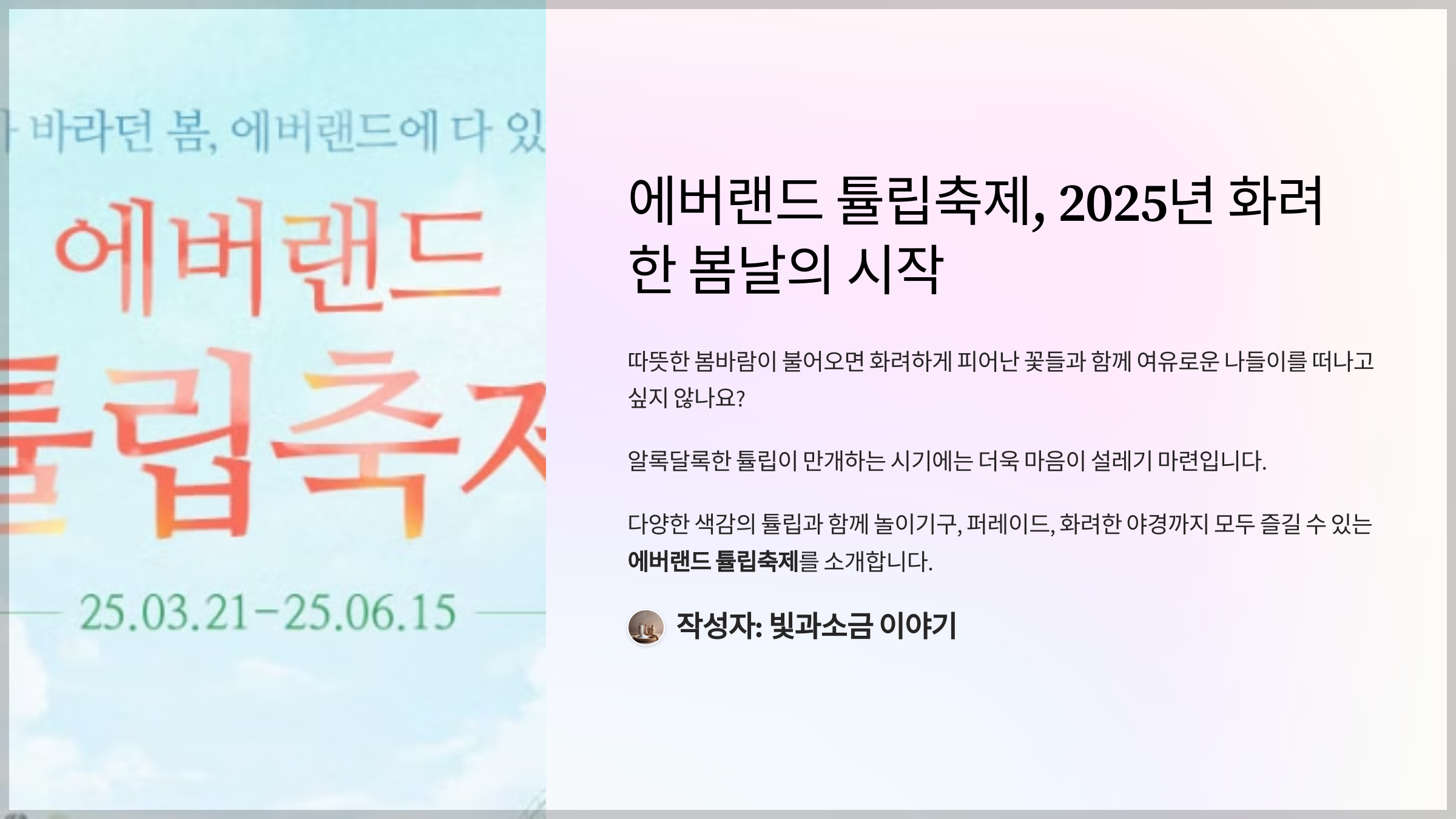에버랜드 튤립축제, 2025년 화려한 봄날의 시작