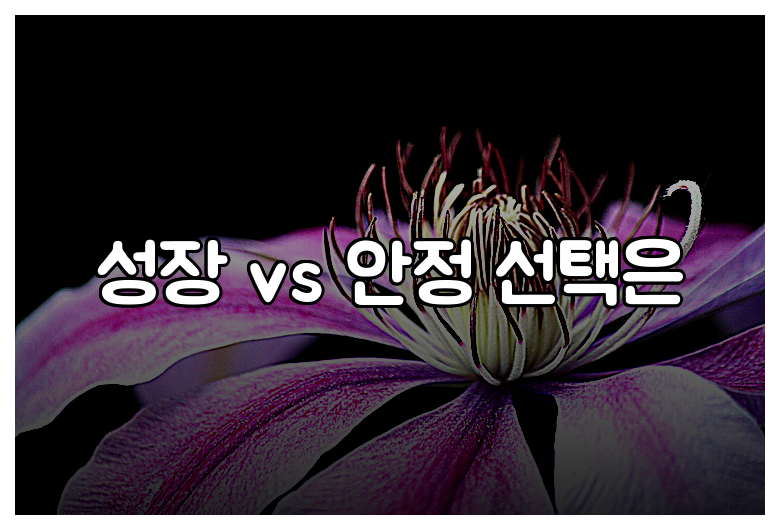성장 vs 안정 선택은