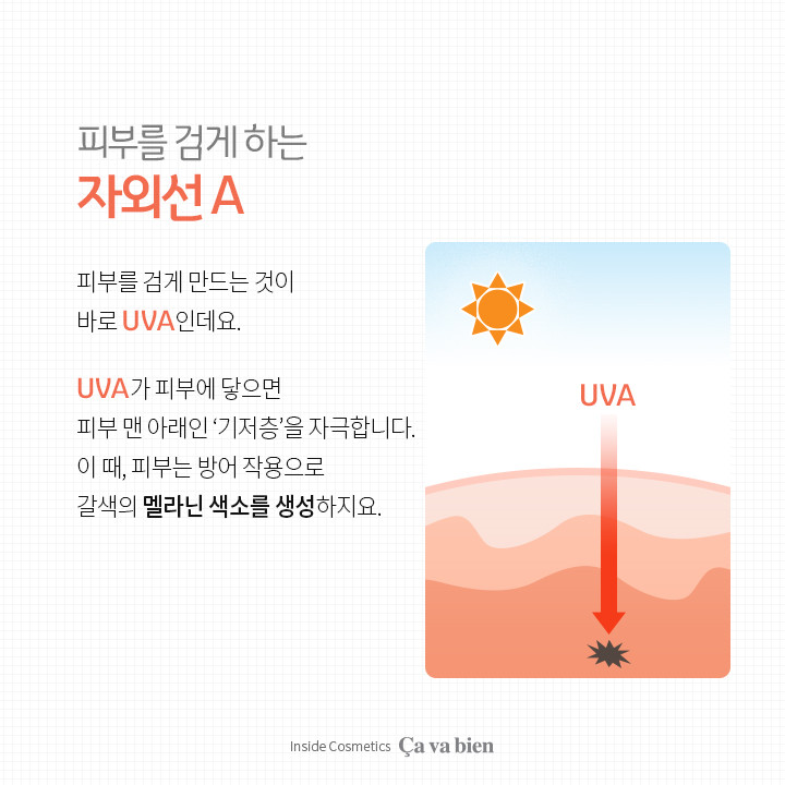 사바비안화장품 이미지