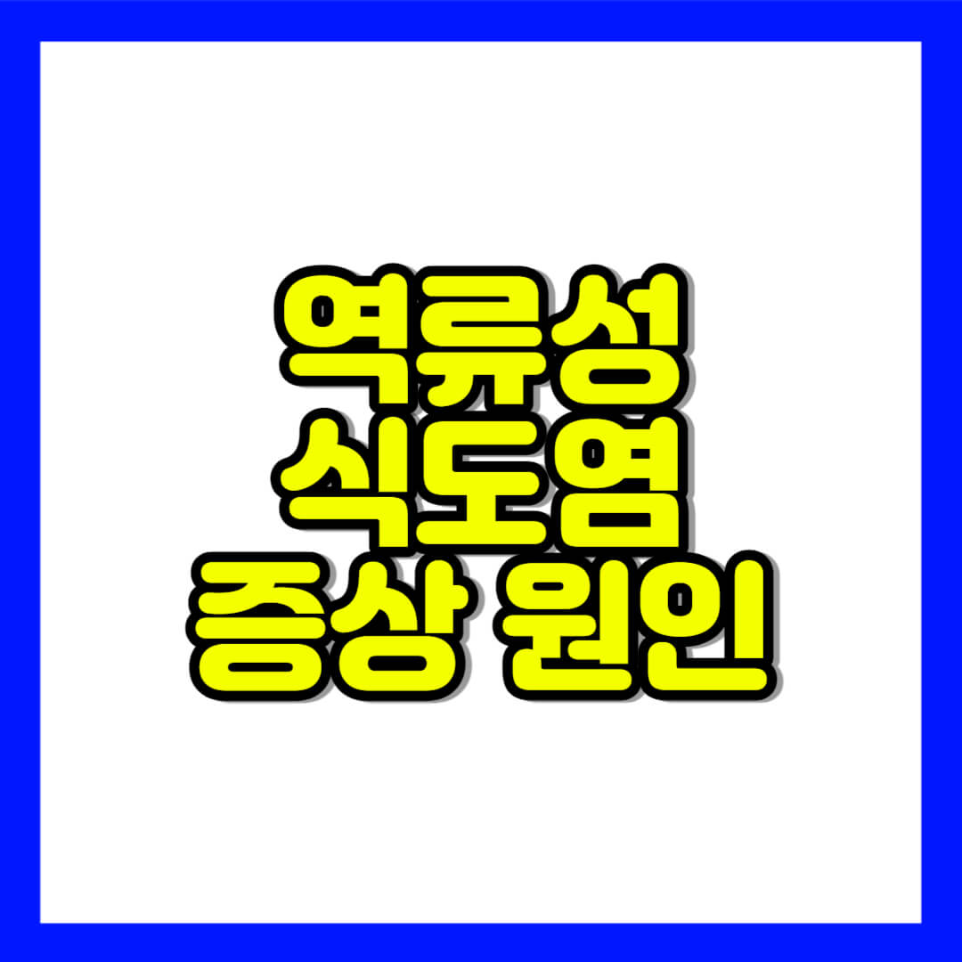 역류성 식도염