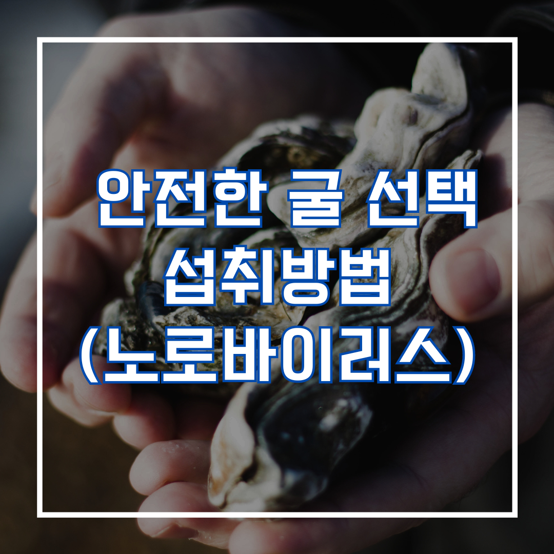 안전한 굴 선택과 섭취방법 (노로바이러스)