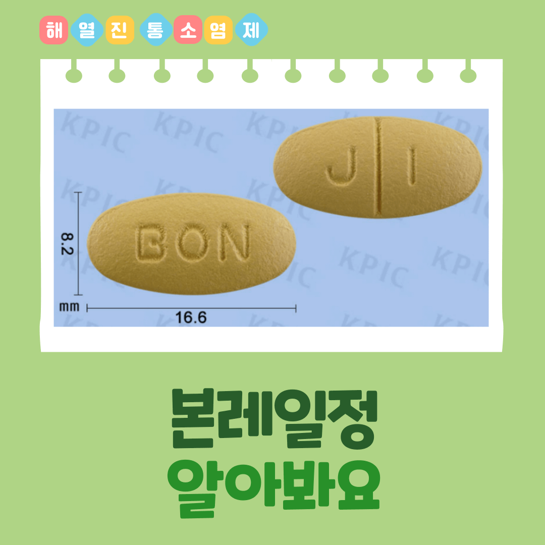 본레일정