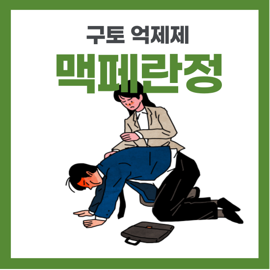 구토억제제 맥페란정