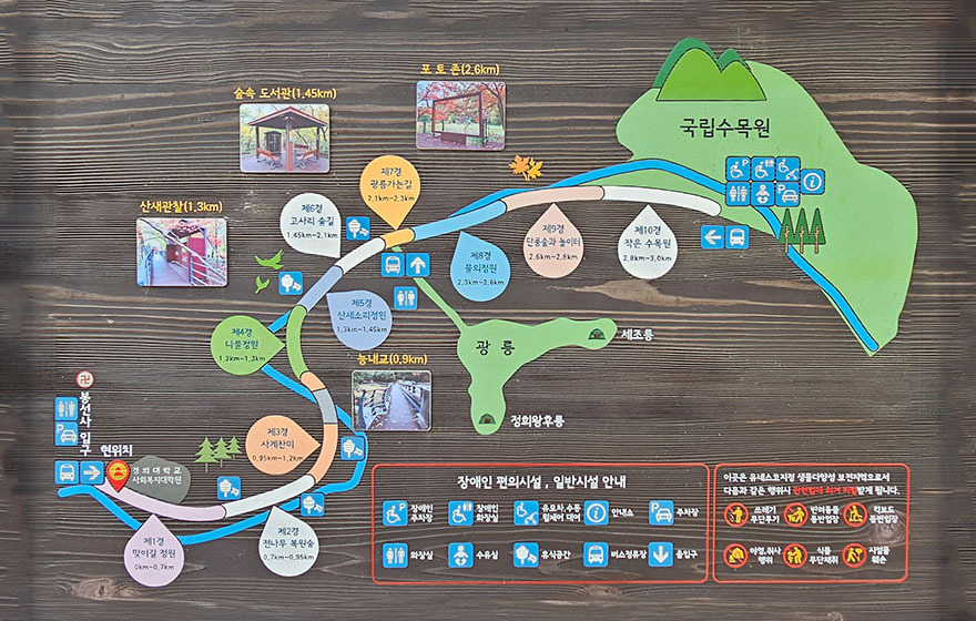 광릉숲길의 매력적인 자연 탐방 가이드-4