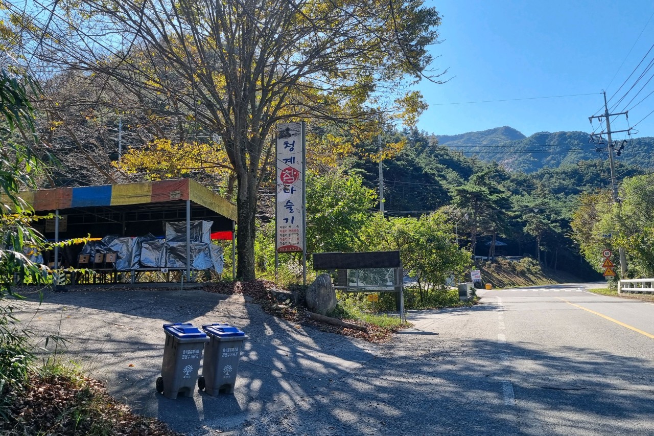 청계참다슬기