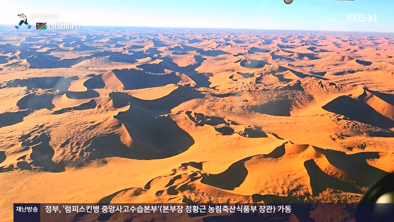 걸어서 세계속으로.E816.231105p-NEXT.mp4_20231104_175441.471.jpg