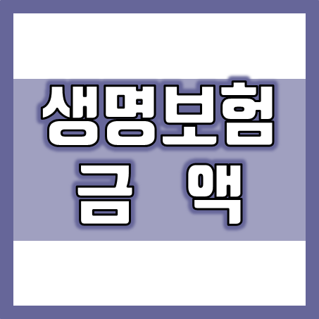  생명보험금액 비교 및 괜찮은 생명보험 추천