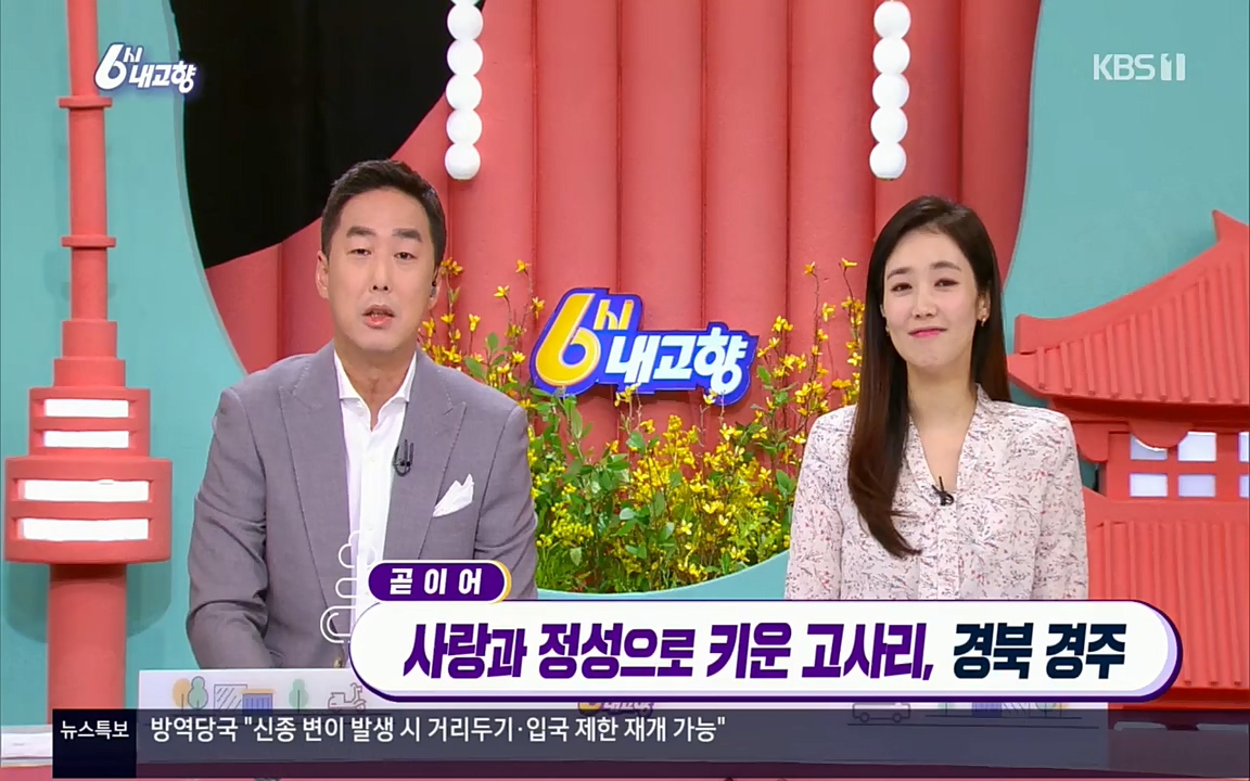 6시 내고향.E7518.220426p.H264-F1RST.mp4_20220504_192754.807.jpg