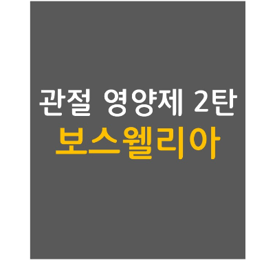  관절 영양제 추천 2탄: 보스웰리아 추출물