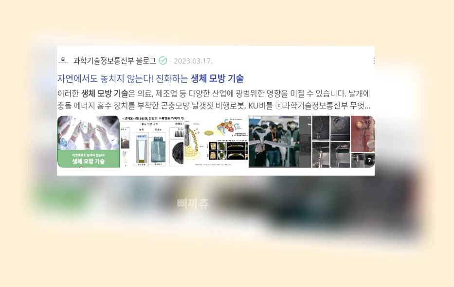 생체모방 기술_2_subsection