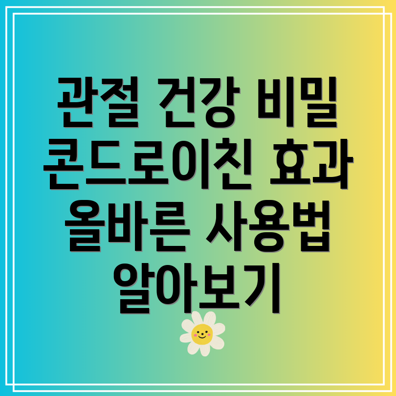 콘드로이친