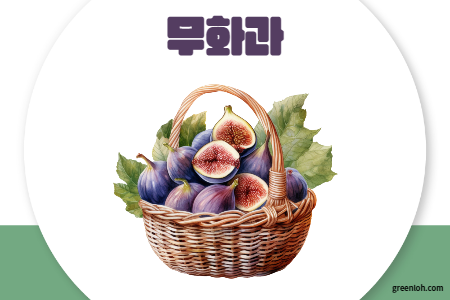 마그네슘 부족현상 마그네슘 많은 음식 10개 - 마그네슘 부족할 때 먹는 음식 - 무화과 마그네슘 부족현상 마그네슘 많은 음식 10개 - 마그네슘 부족할 때 먹는 음식 - 무화과