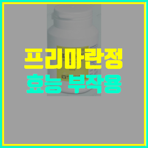  프리마란정 효능 부작용