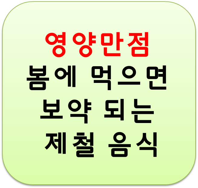  봄 제철 음식 봄나물 쑥 방풍 달래 쭈꾸미