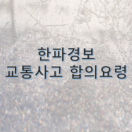  한파경보 초보운전자 교통사고 합의요령