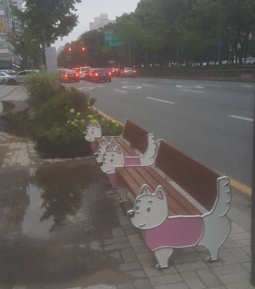 실제 양천구에서 볼 수 있는 강아지 마스코트 '해우리'