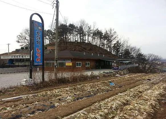 흑돼지와누렁이