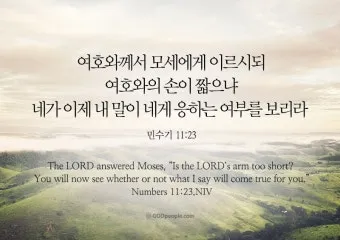 이스라엘 백성 불만 민수기 11장_39