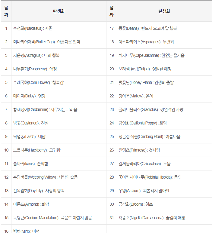 일별 탄생화-의미-꽃말-1~12월-월별
