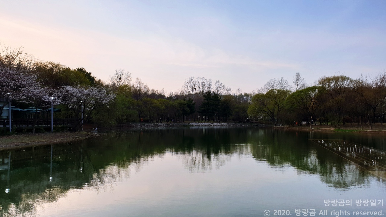 서울숲 연못