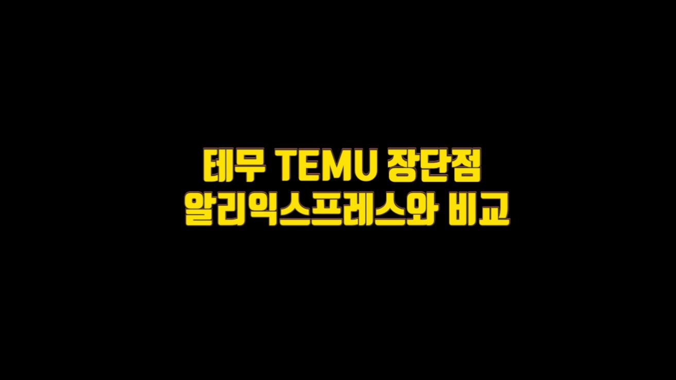 테무 TEMU 장단점 주의점 및 알리 익스프레스와 비교