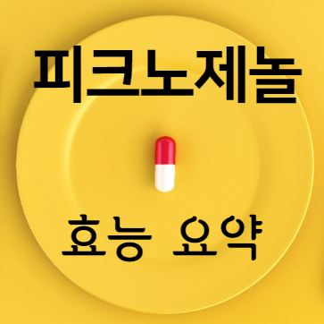 피크노제놀 효능 요약