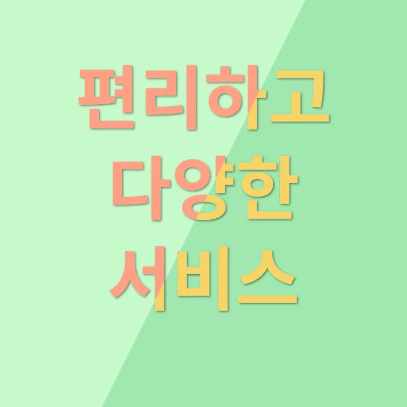 고양이 분양_3