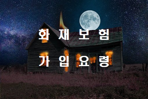  노다지네 잡학다식