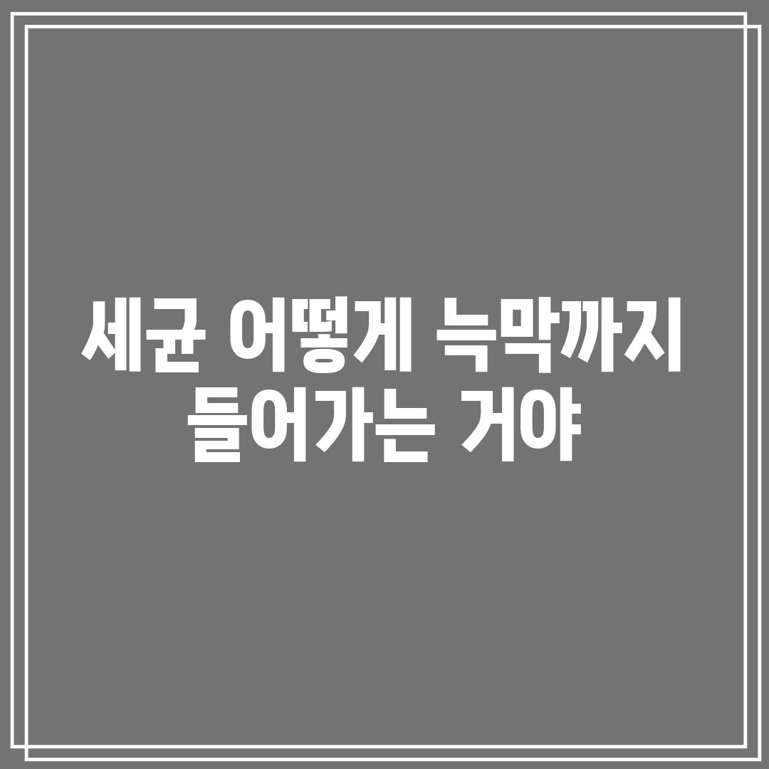 세균, 어떻게 늑막까지 들어가는 거야?