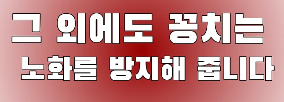 그 외에도 꽁치는 노화를 방지해 줍니다