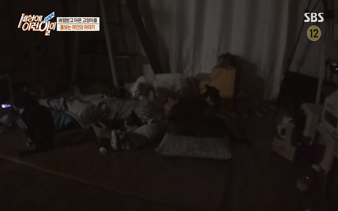 순간포착 세상에 이런일이.E1173.220330p-NEXT.mp4_20220330_174808.625.jpg