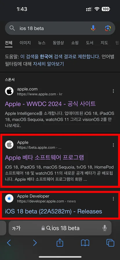 구글에서 ios18 베타를 검색한 모습