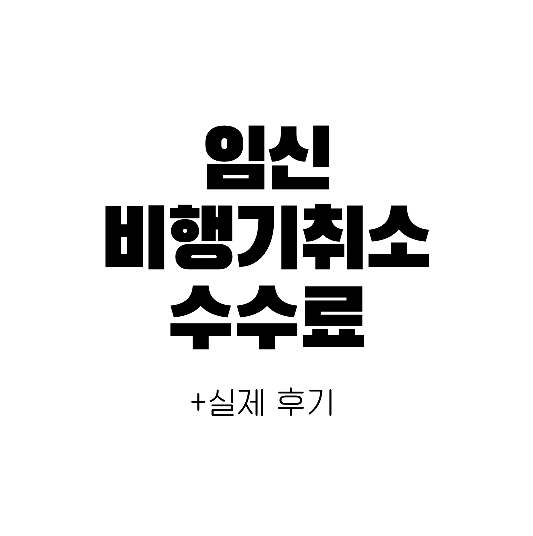 임신 후 비행기 취소 수수료