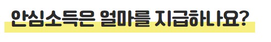 안심소득